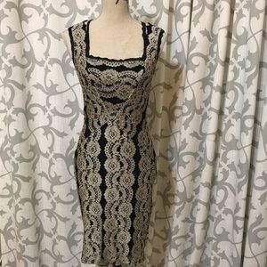Windsor Black and Gold Lace Dress
